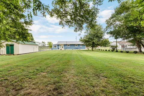 a view of a field of grass and trees