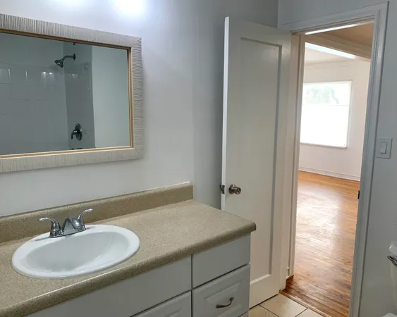 a bathroom with a sink and a mirror