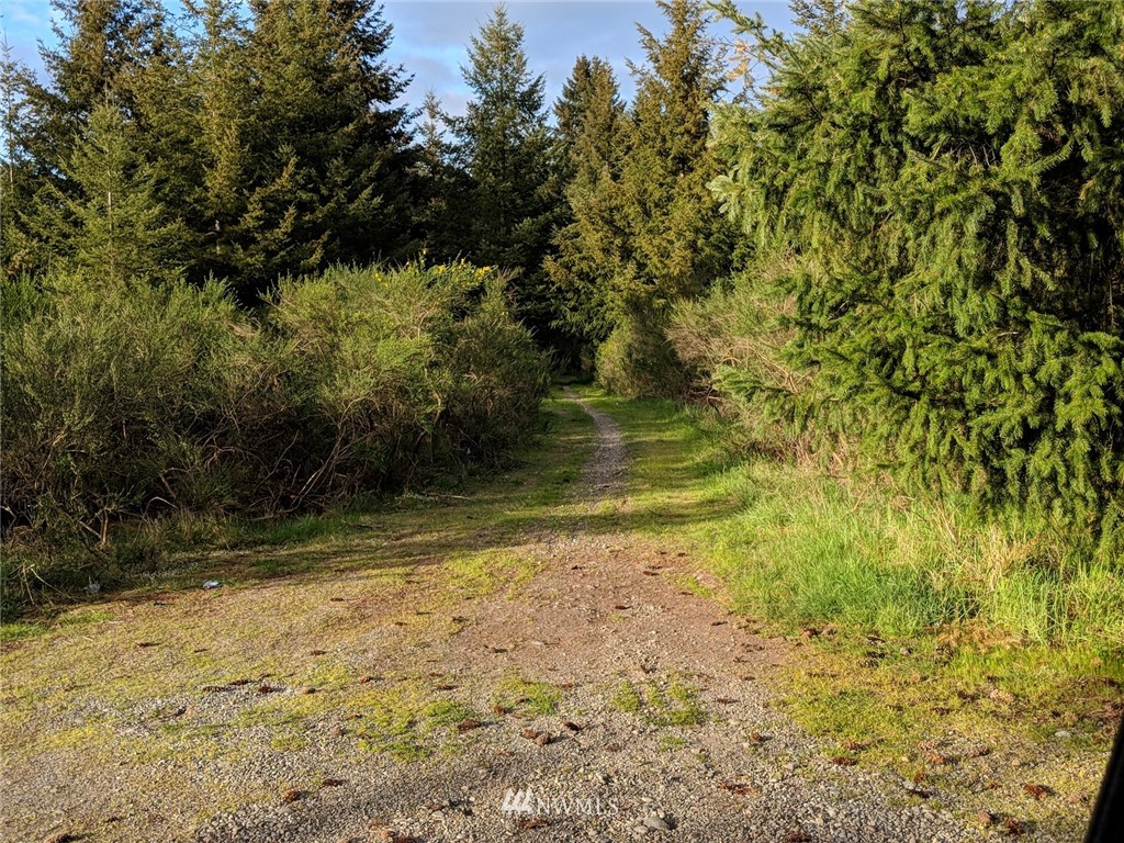 -xx Mima Road Southwest Olympia, WA 98512 - Photo 2 of 2 a view of a yard