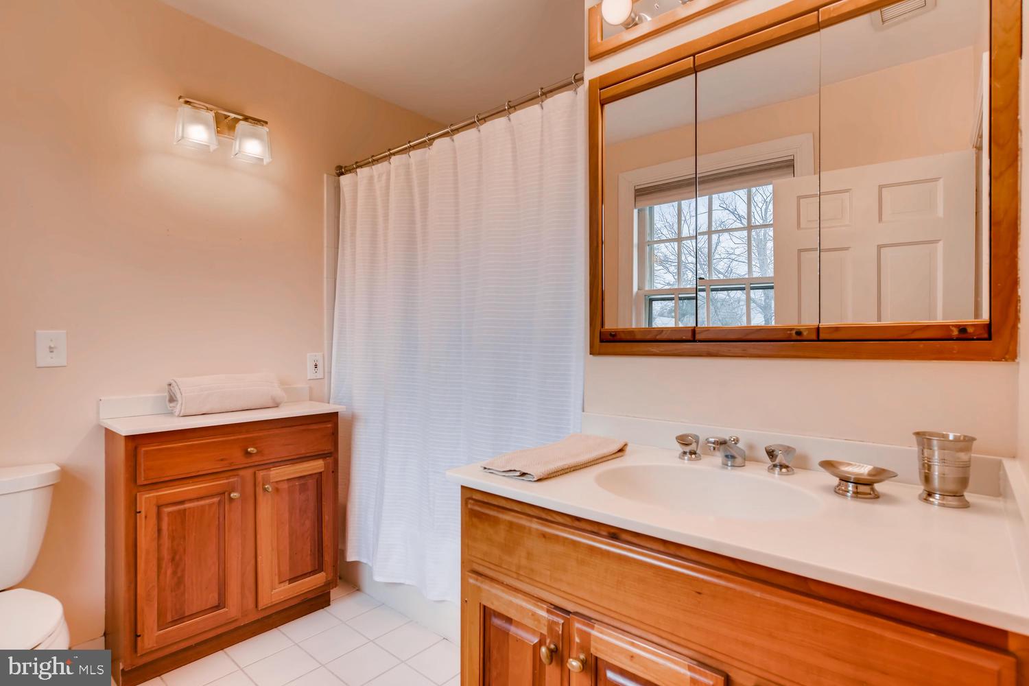 805 St Georges Road Baltimore, MD 21210 - Photo 18 of 33 Master Bath