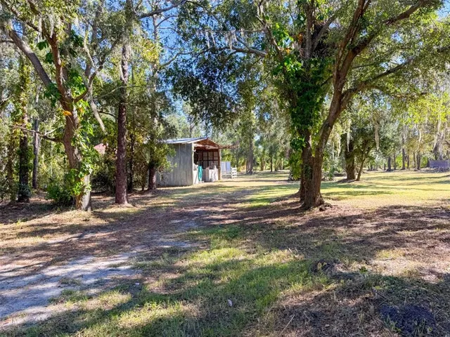 a view of a yard with plants and trees
