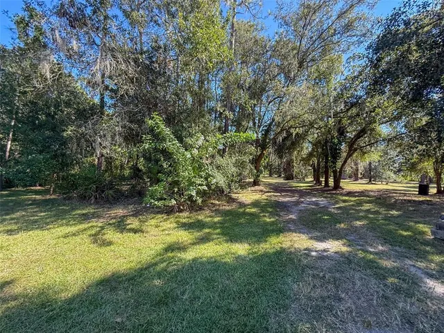 a view of a yard with trees