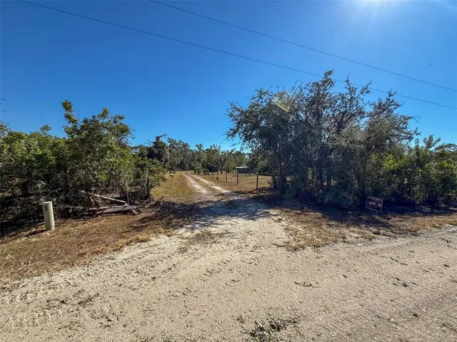 a view of a yard with a tree
