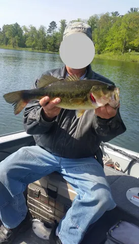 $359,900 | 3572 State 84 Street Northeast, Longville, MN 56655