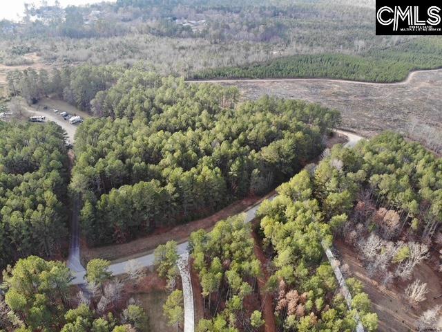 Lot 104 Pineland Road Chappells, SC 29037 - Photo 21 of 25