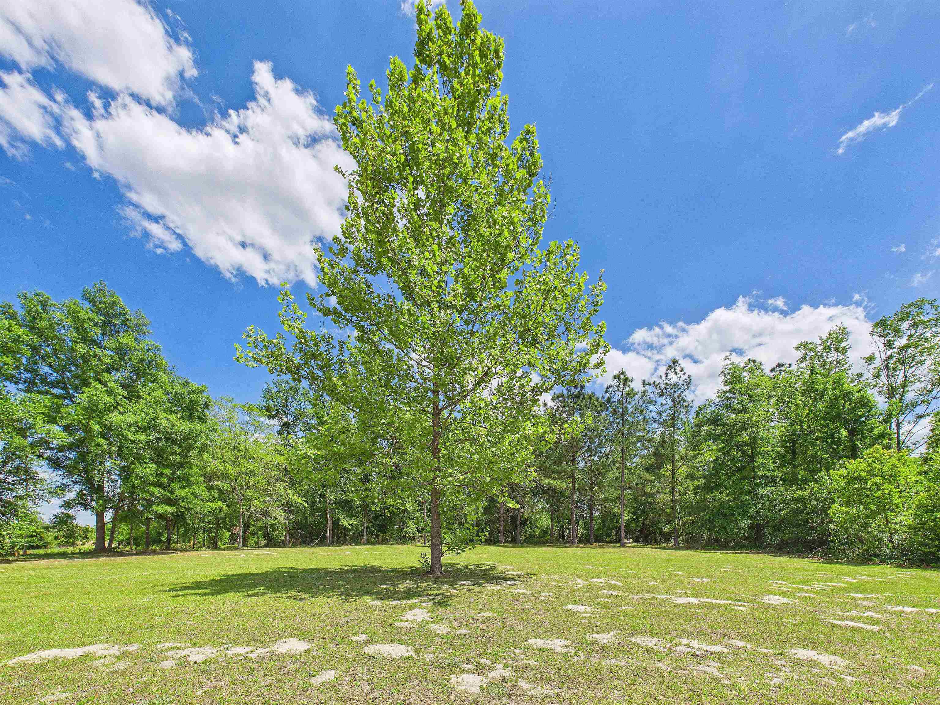 2150 Golf Course Road Perry, FL 32348 - Photo 41 of 41