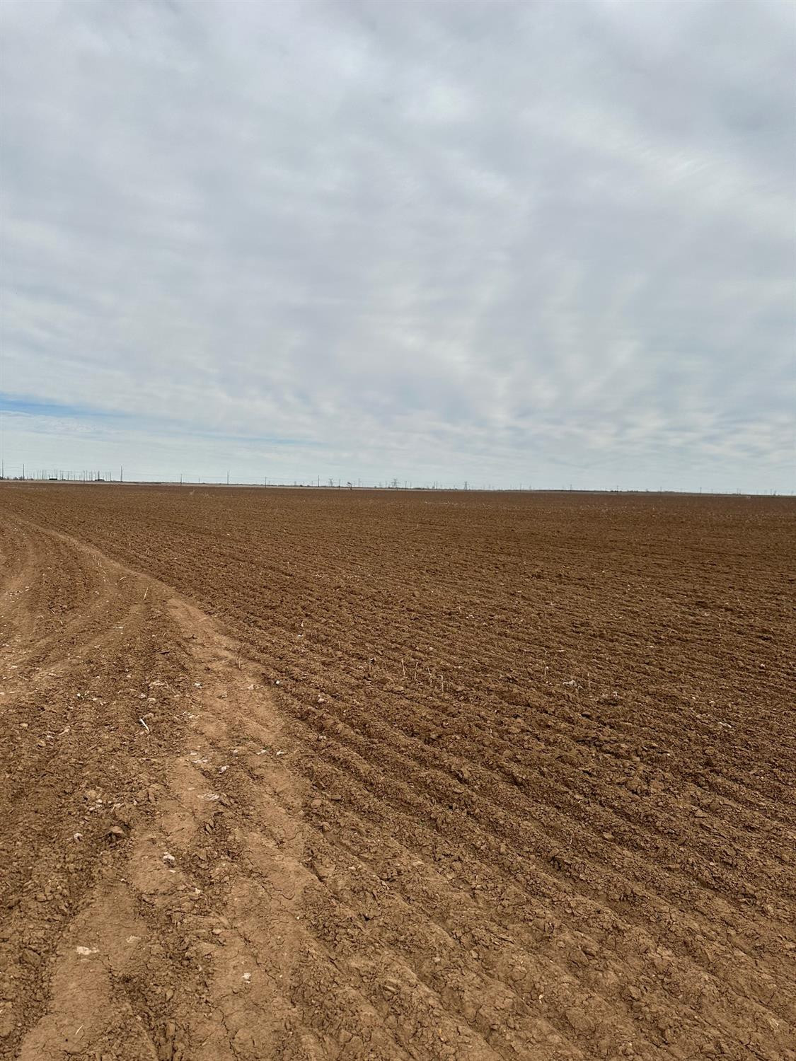 0 County Road 368 Floydada, TX 79235 - Photo 14 of 22