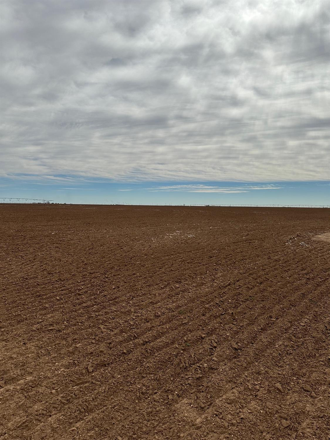 0 County Road 368 Floydada, TX 79235 - Photo 10 of 22
