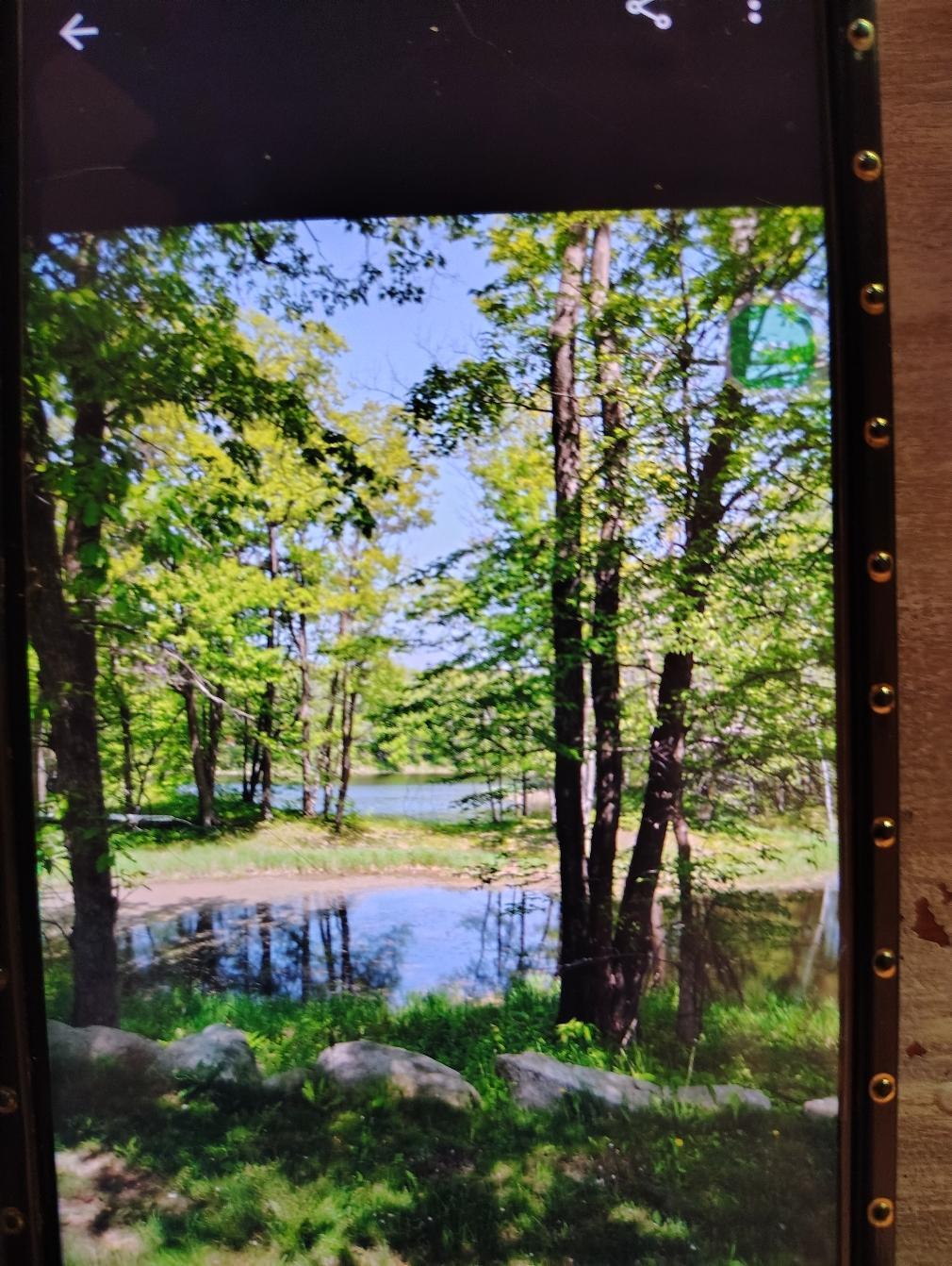 7072 Buck Horn Pass Randall, MN 56475 - Photo 2 of 62