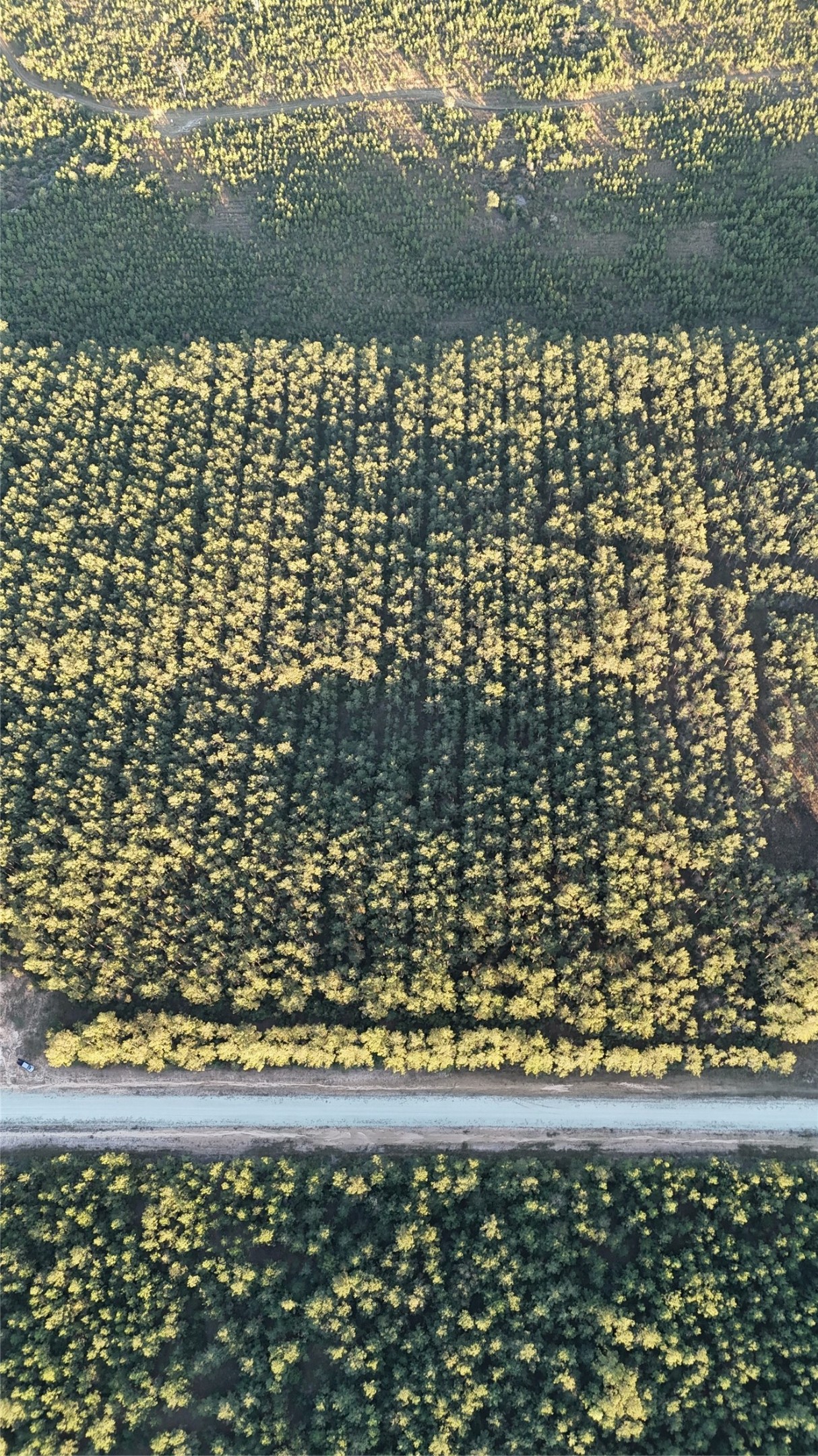 7990 Carter Ranch Road Kountze, TX 77625 - Photo 3 of 4