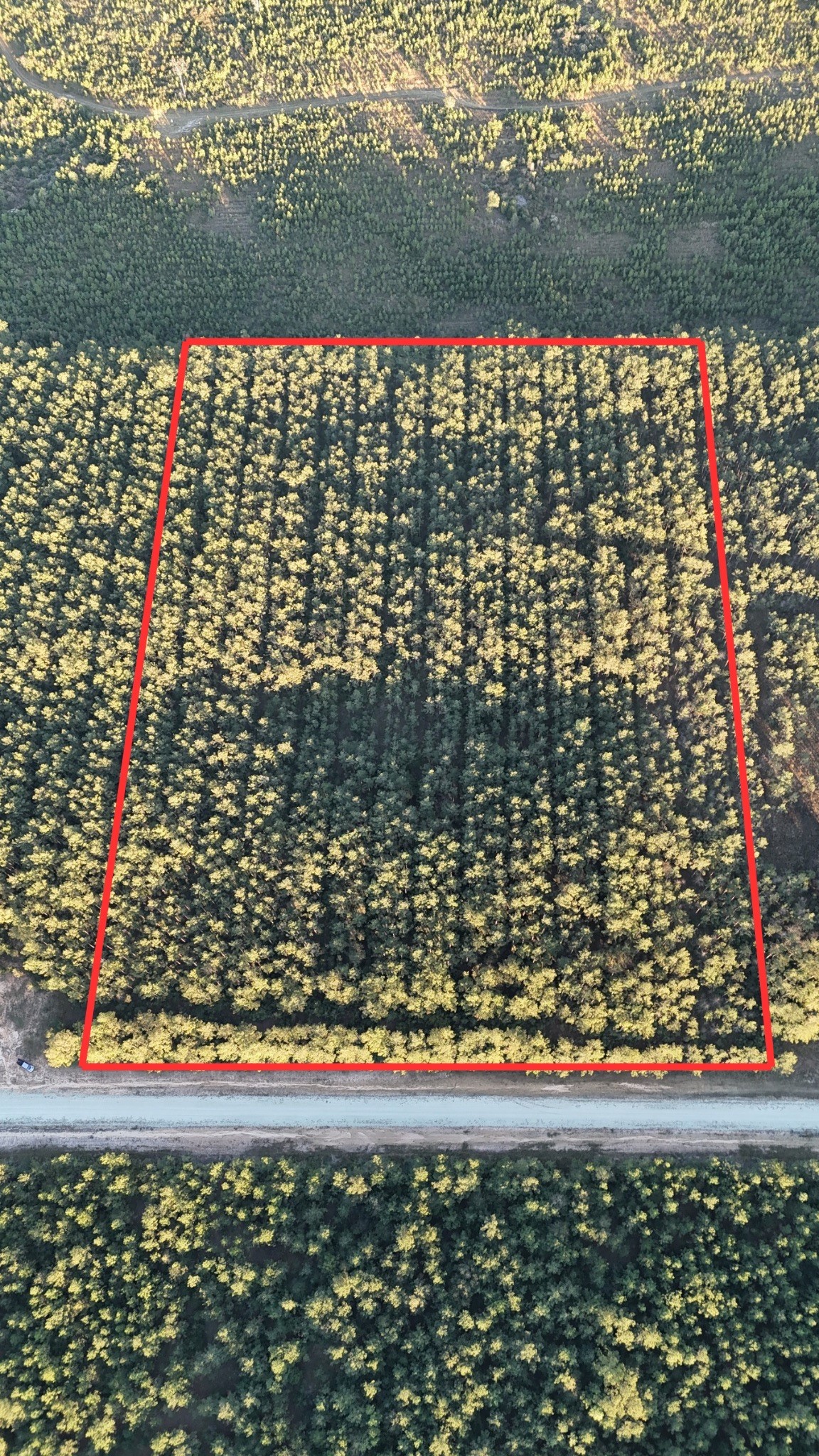 7990 Carter Ranch Road Kountze, TX 77625 - Photo 4 of 4