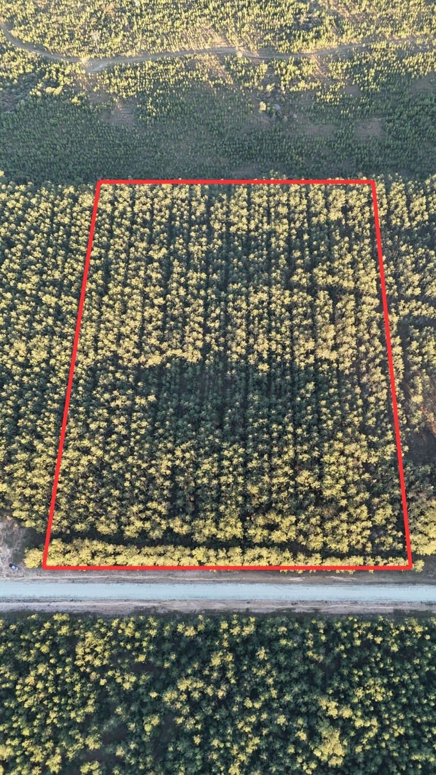 7990 Carter Ranch Road Kountze, TX 77625 - Photo 4 of 4 a city view