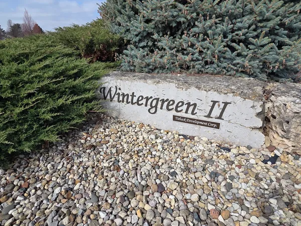 a close up of a refrigerator