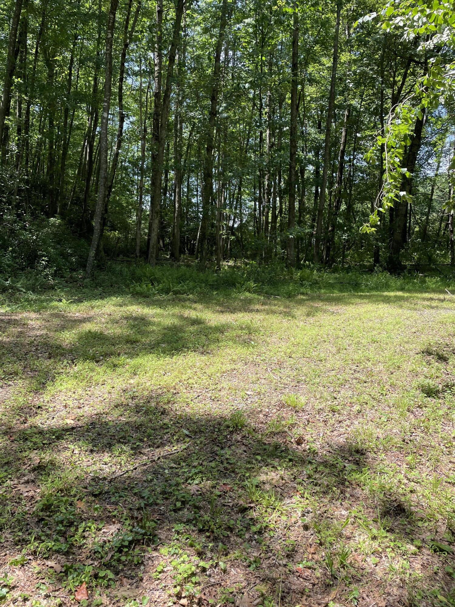 Tbd Buffalo Mountain Road Southwest Meadows Of Dan, VA 24120 - Photo 11 of 12 12