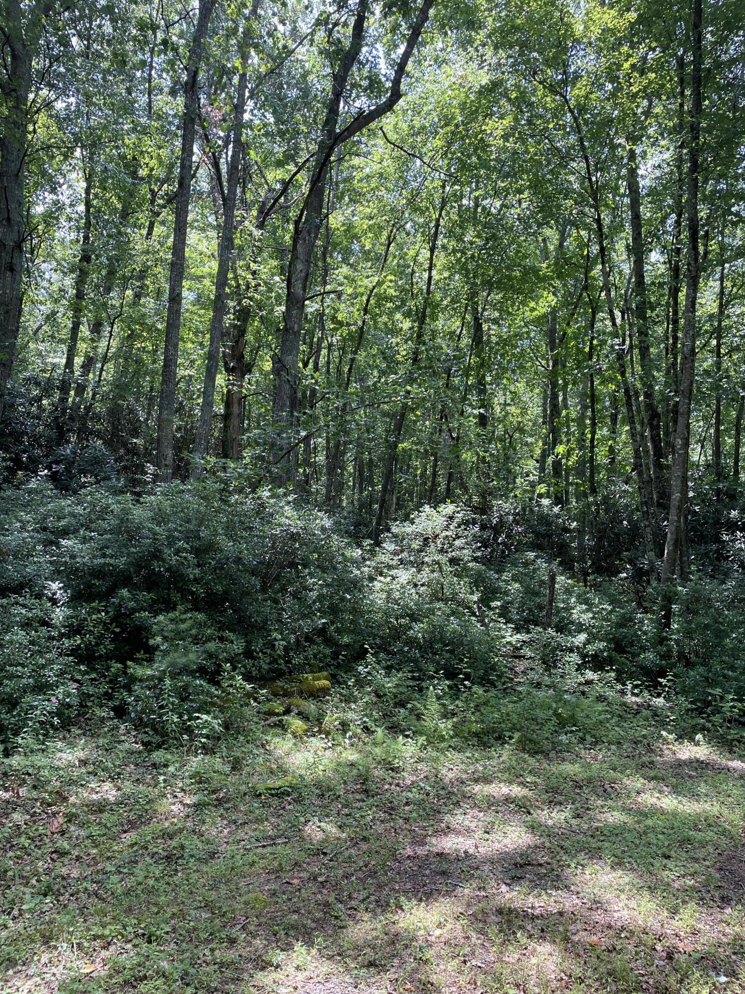 Tbd Buffalo Mountain Road Southwest Meadows Of Dan, VA 24120 - Photo 10 of 12 11