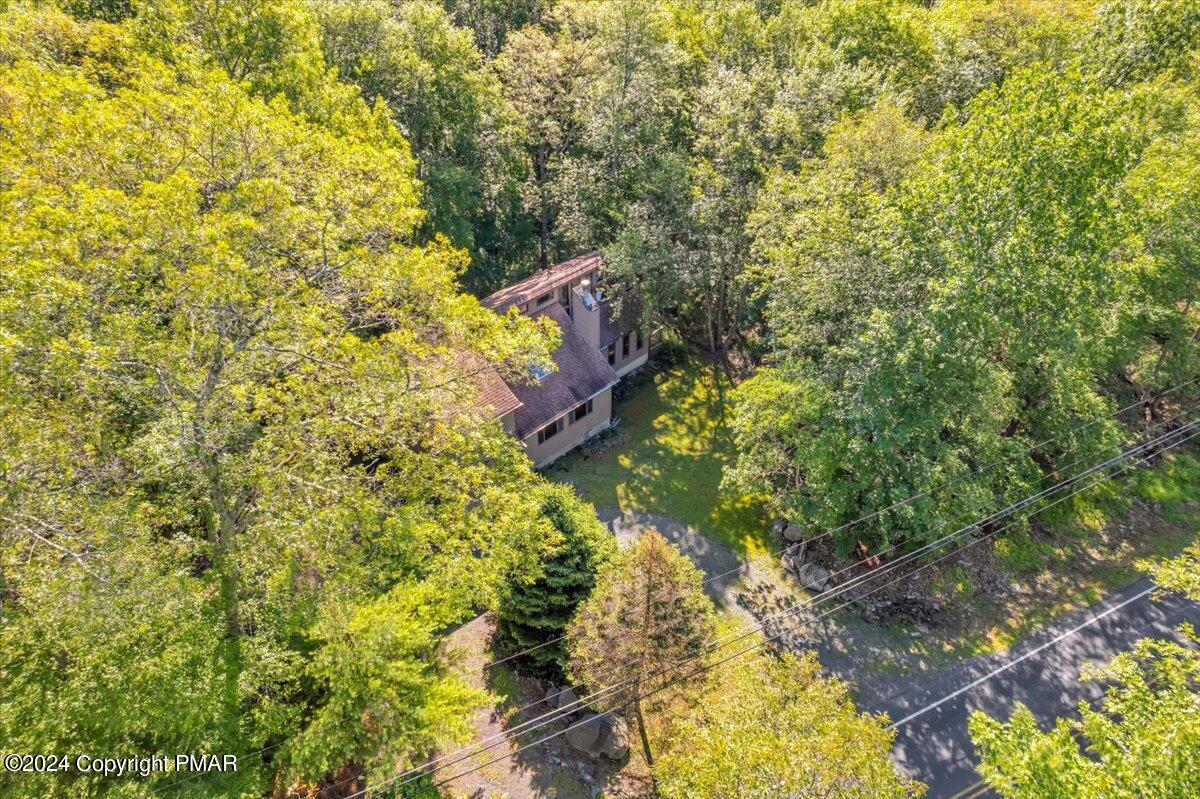 1182 Coolbaugh Road East Stroudsburg, PA 18302 - Photo 16 of 53 a view of a forest with trees