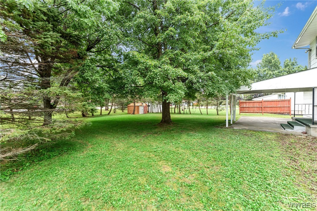 6 Impala Parkway Lancaster, NY 14086 - Photo 10 of 49 Rear yard