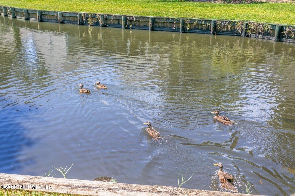 409 Village Drive St. Augustine, FL 32084 - Photo 39 of 75 a view of a lake with houses