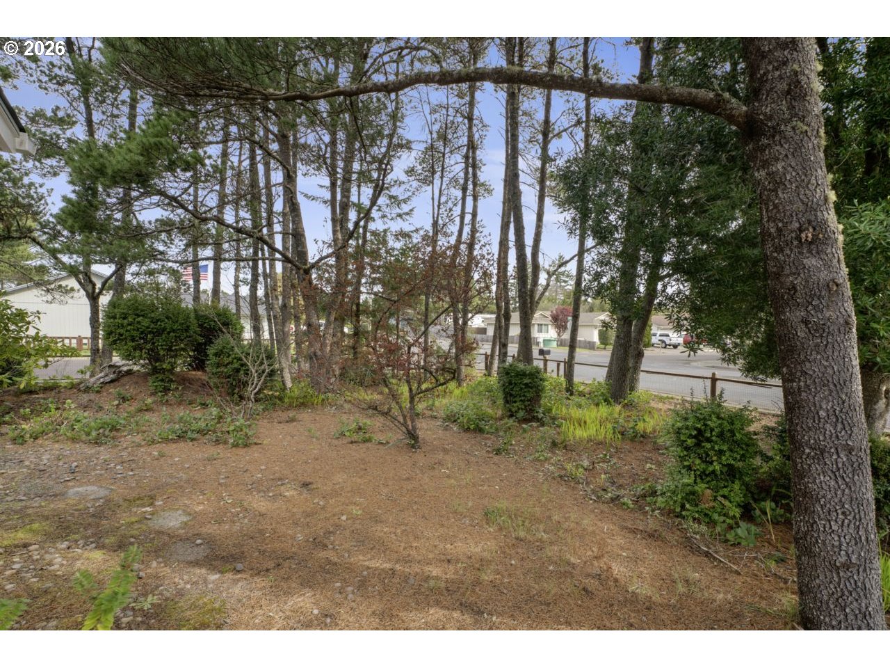 1960 40th Street Florence, OR 97439 - Photo 6 of 48 a view of a yard with large trees