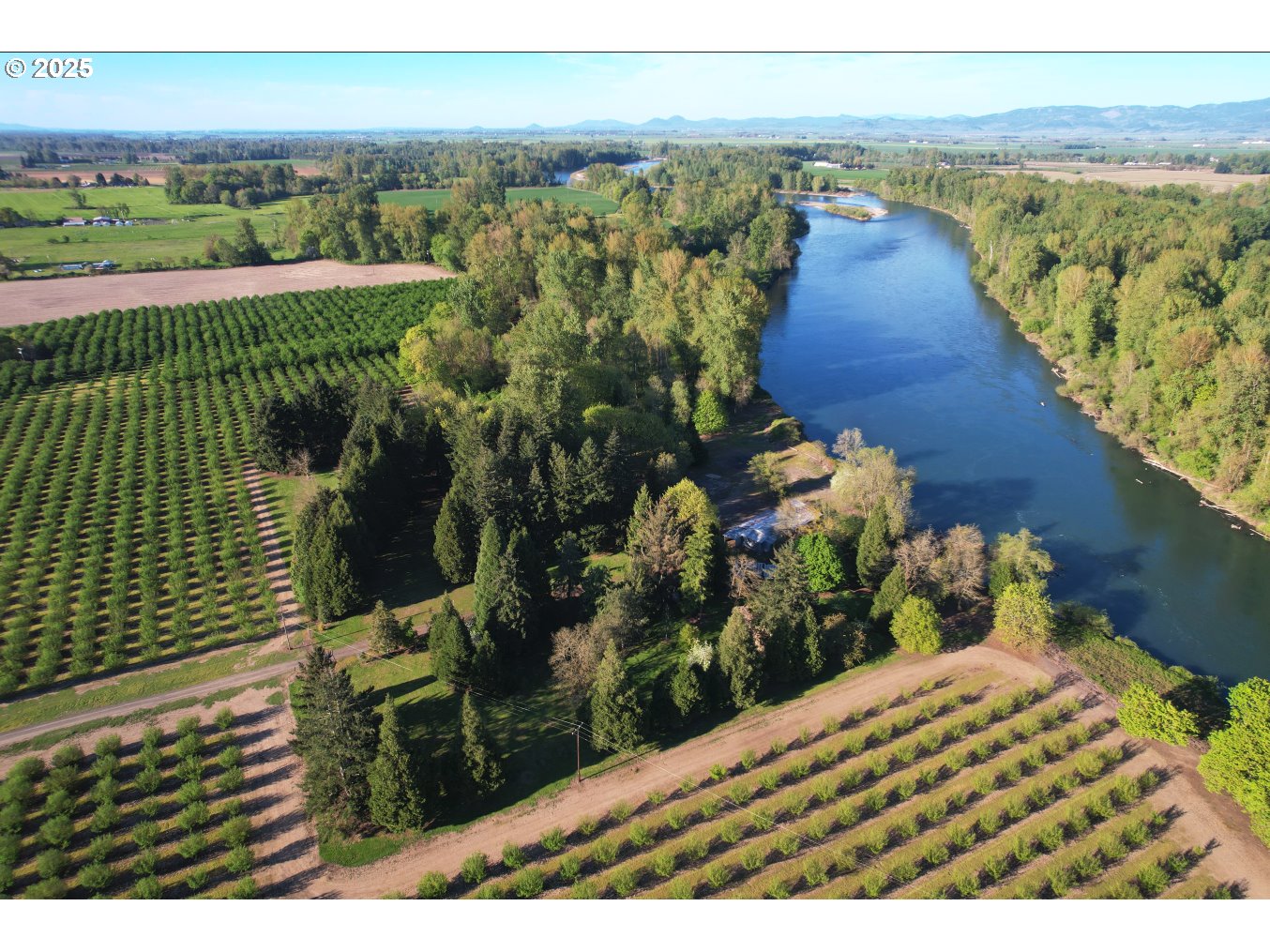 93579 River Road Junction City, OR 97448 - Photo 1 of 20