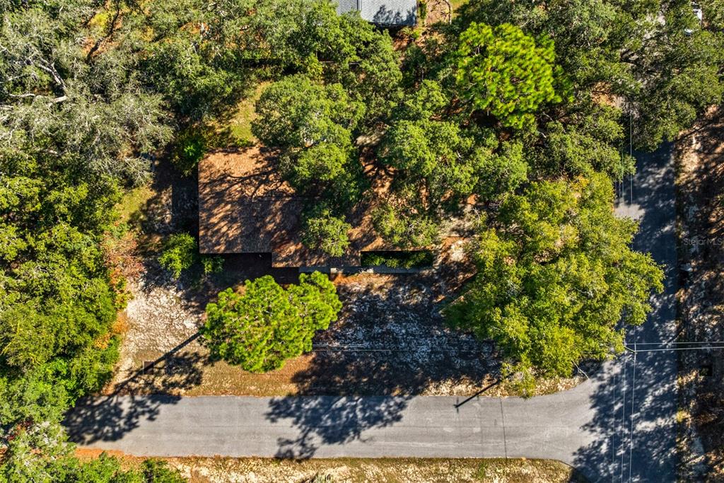 1040 Jocelin Road Pensacola, FL 32506 - Photo 39 of 46 a picture of trees