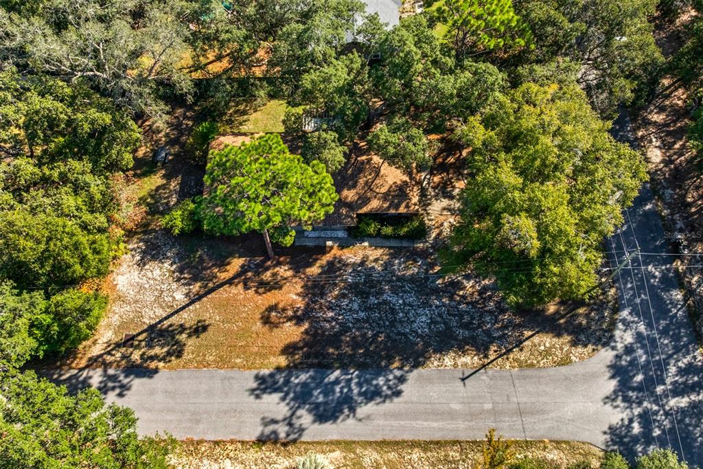 1040 Jocelin Road Pensacola, FL 32506 - Photo 40 of 46 a view of a tree in a yard