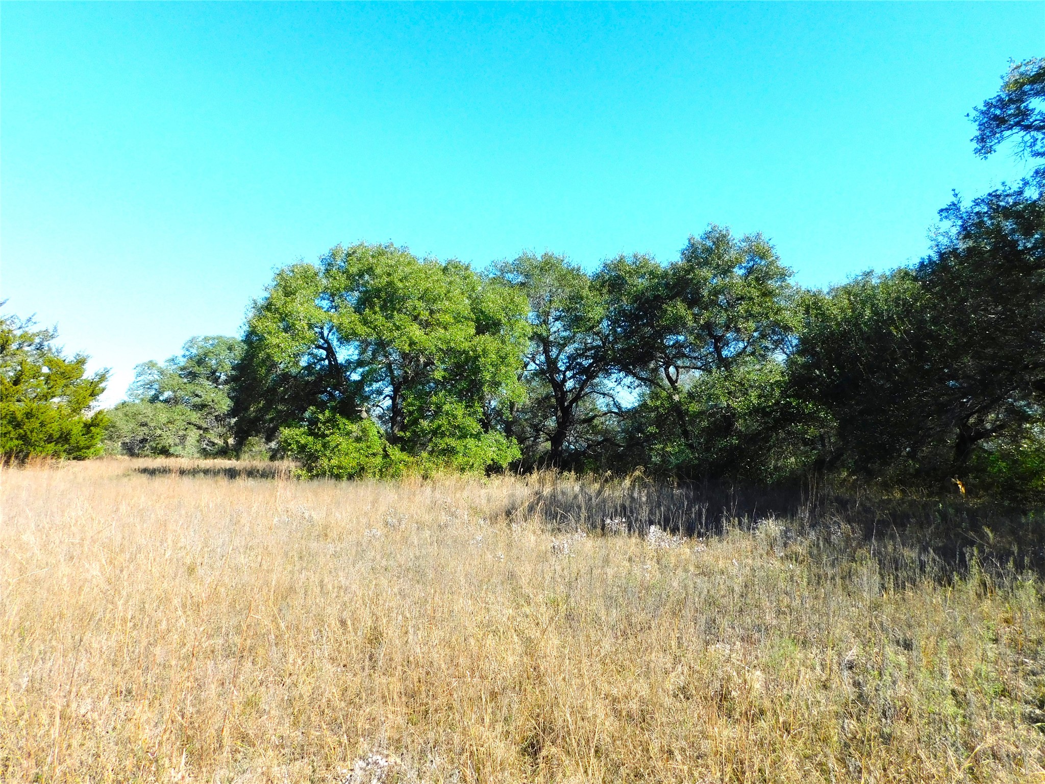 11200 Mt Falls School Road Washington, TX 77880 - Photo 8 of 11