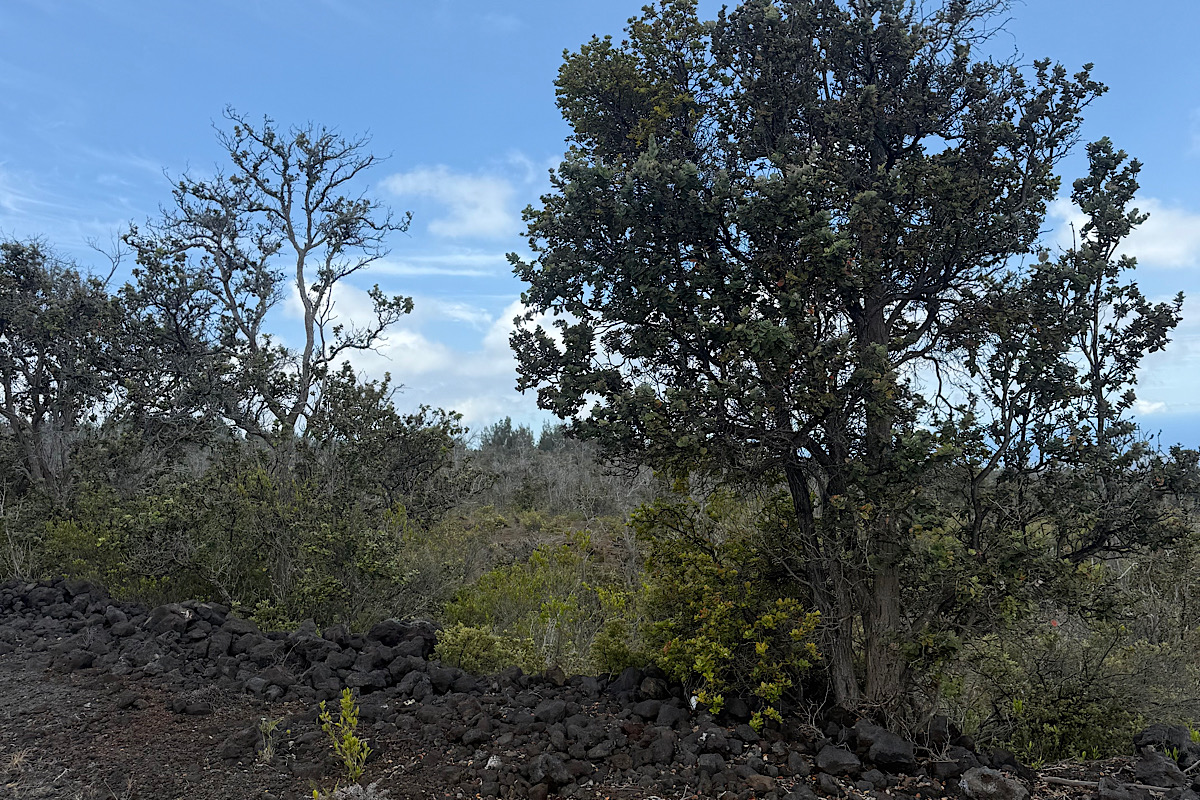 2 Kailua Boulevard Ocean View, HI 96704 - Photo 3 of 7