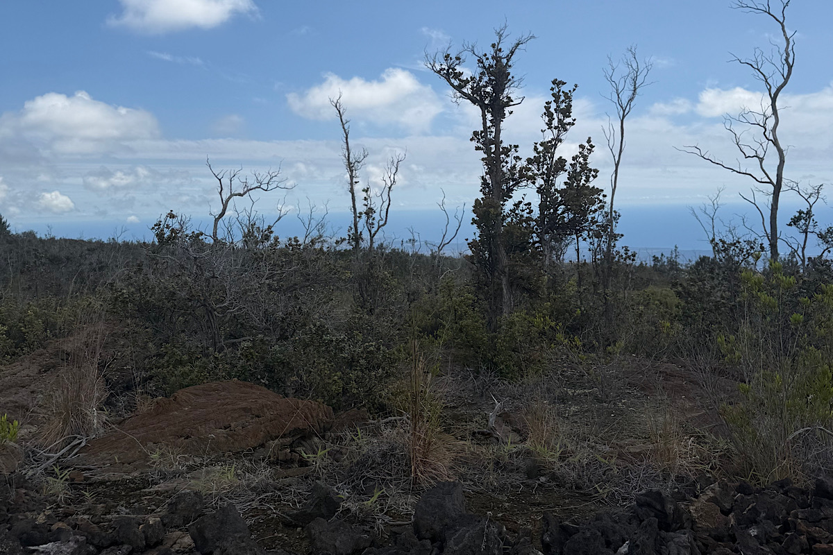 2 Kailua Boulevard Ocean View, HI 96704 - Photo 4 of 7