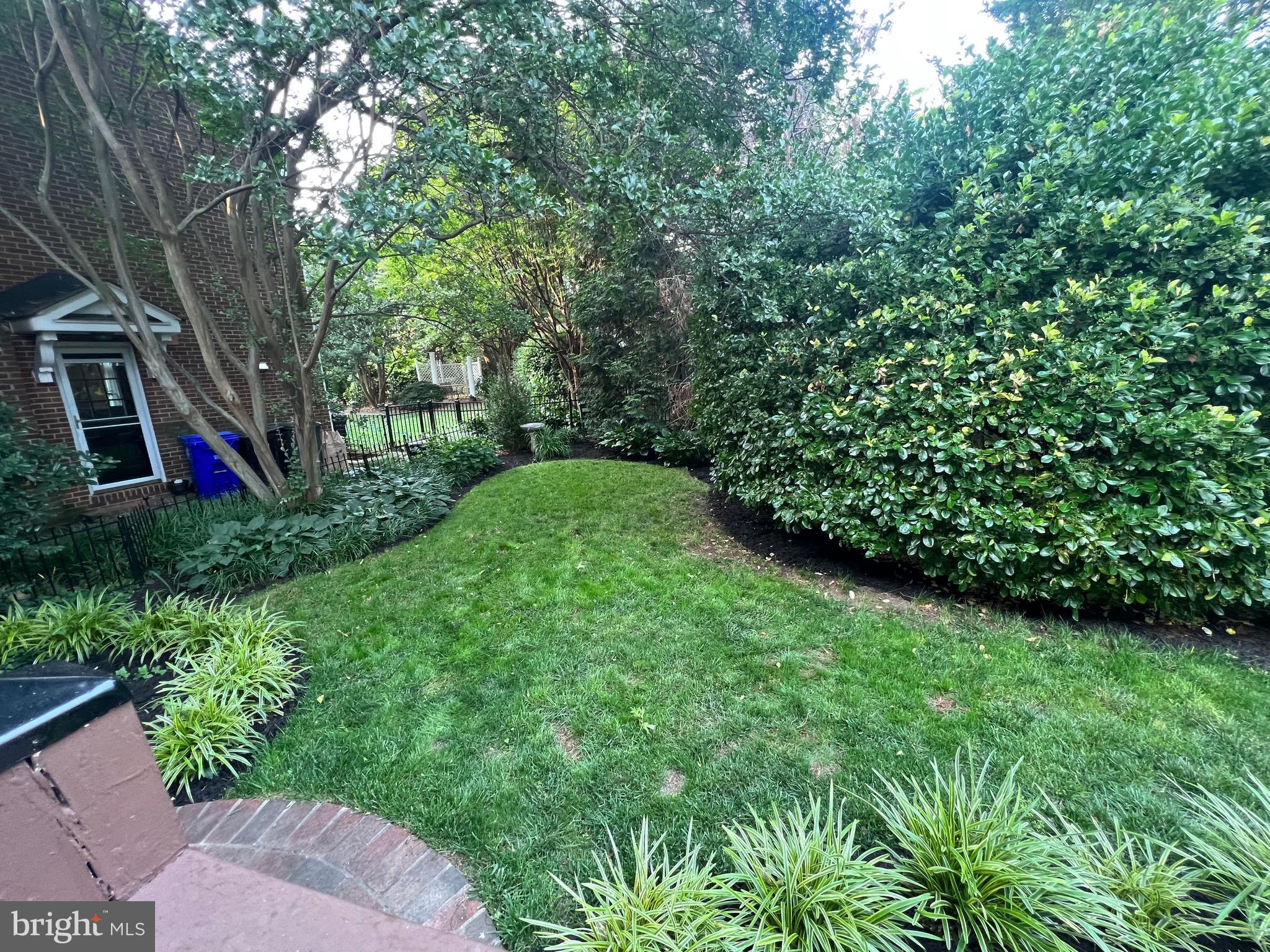 1317 19th Road South Arlington, VA 22202 - Photo 28 of 28 Backyard