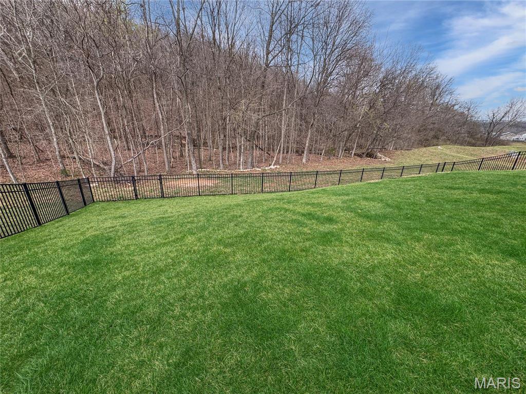 813 Boulder Crest Court Eureka, MO 63025 - Photo 4 of 33