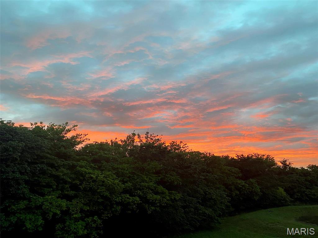 813 Boulder Crest Court Eureka, MO 63025 - Photo 8 of 33