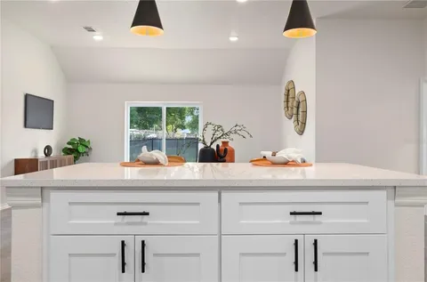a kitchen with a sink and a potted plant
