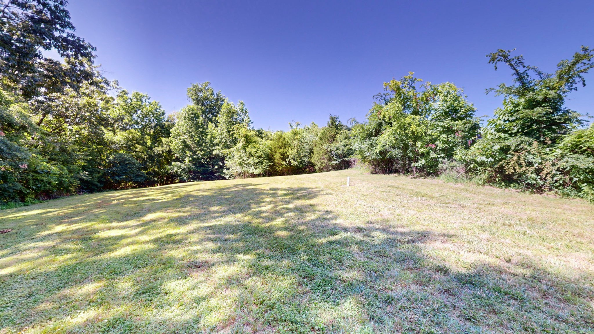 4852 Ash Hill Road Spring Hill, TN 37174 - Photo 56 of 60 a view of a yard with a tree