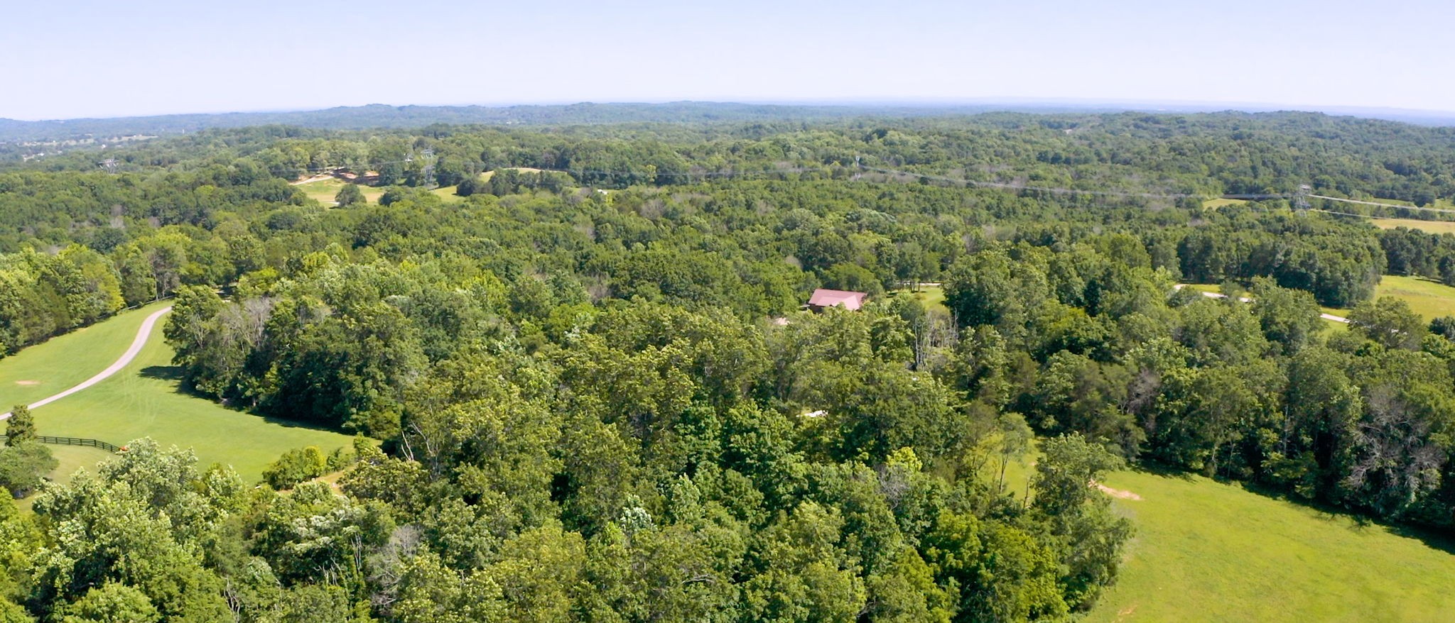 4852 Ash Hill Road Spring Hill, TN 37174 - Photo 59 of 60 a view of a lush green forest with trees and some houses
