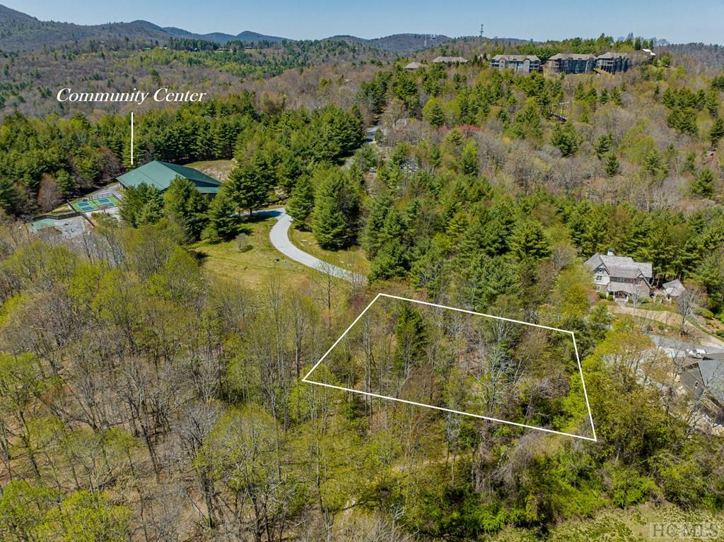 Lot 20 Trillium Ridge Road Sapphire, NC 28774 - Photo 2 of 17 Gallery Image 2