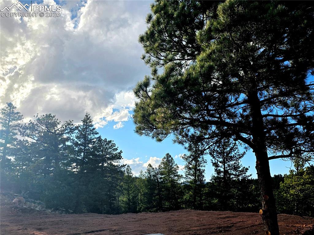 204 Pine Road Florissant, CO 80816 - Photo 11 of 27