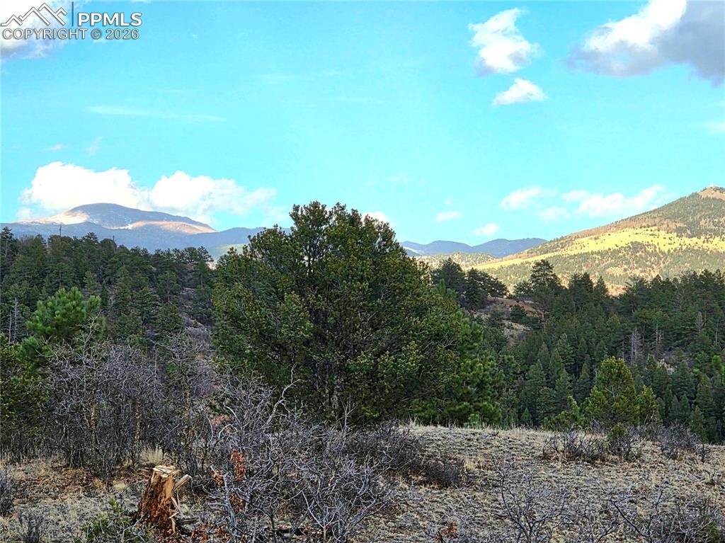 204 Pine Road Florissant, CO 80816 - Photo 12 of 27