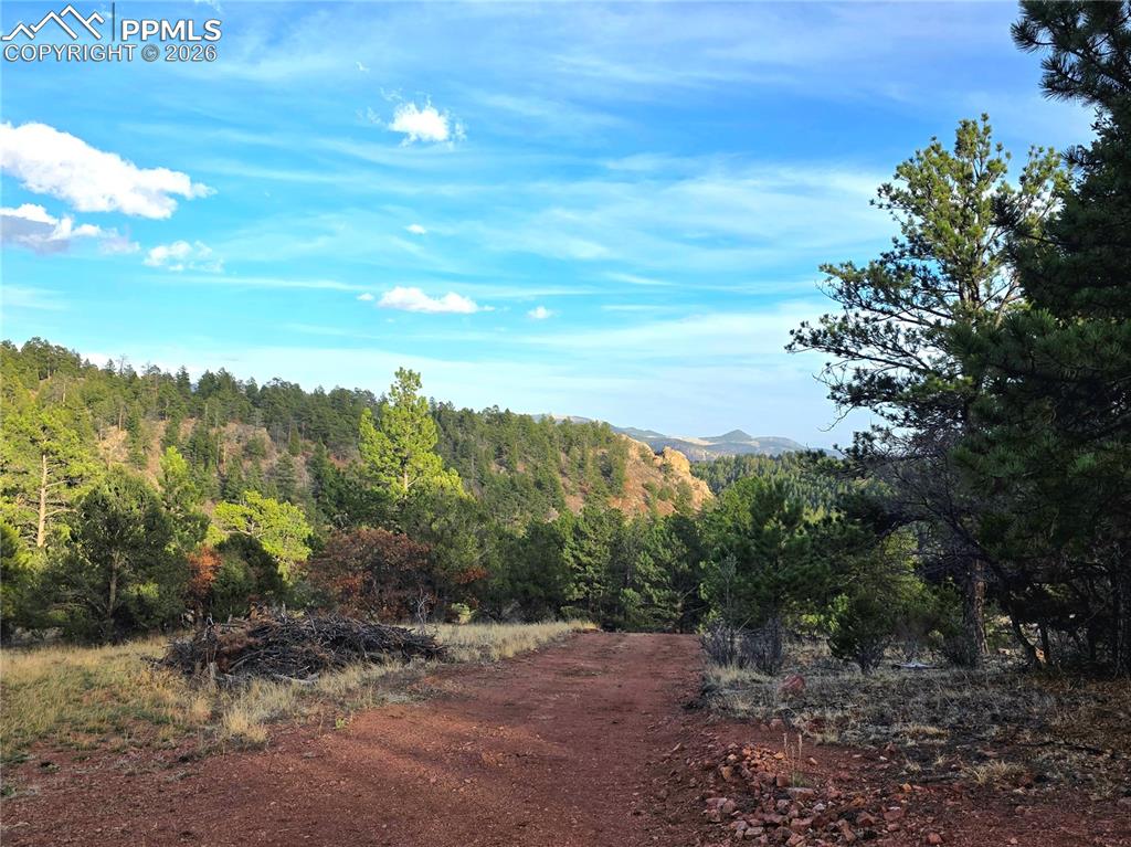 204 Pine Road Florissant, CO 80816 - Photo 13 of 27 East Deivway