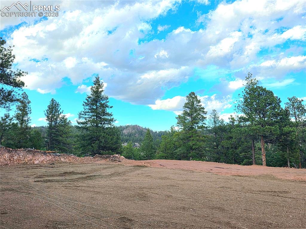 204 Pine Road Florissant, CO 80816 - Photo 15 of 27