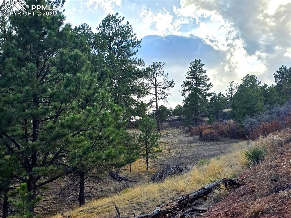 204 Pine Road Florissant, CO 80816 - Photo 16 of 27