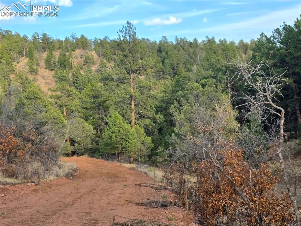 204 Pine Road Florissant, CO 80816 - Photo 18 of 27