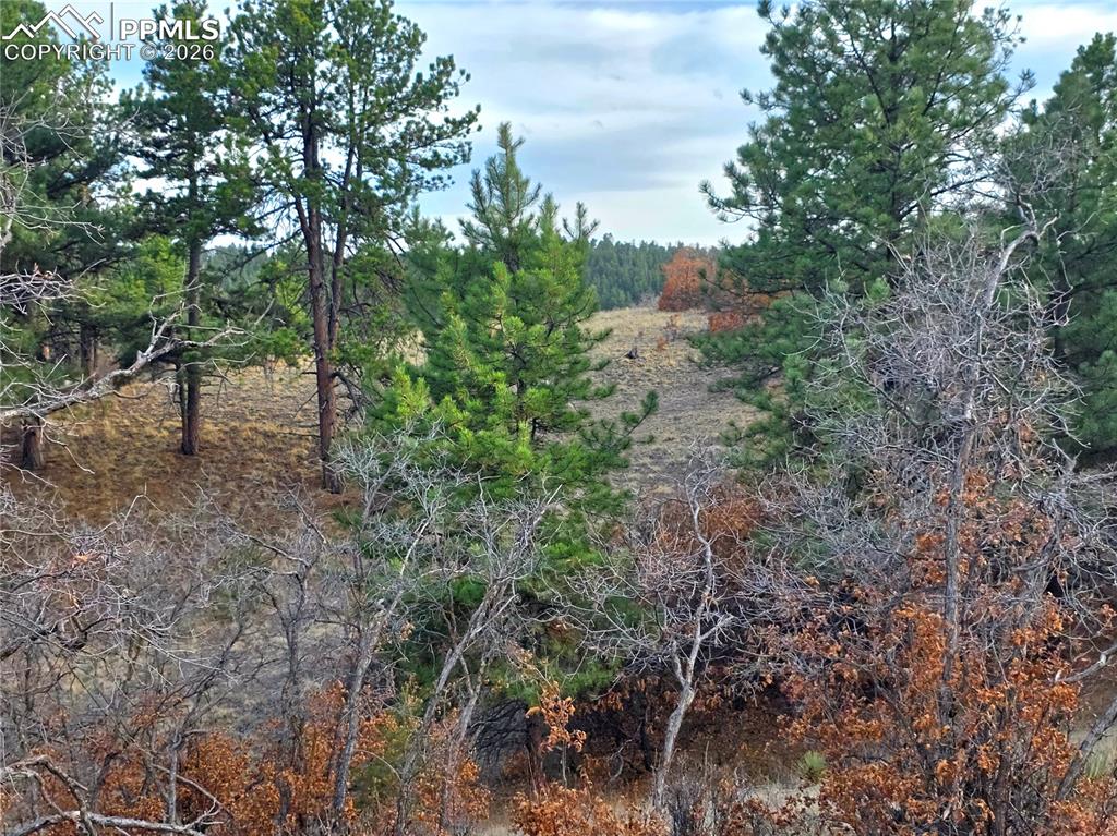 204 Pine Road Florissant, CO 80816 - Photo 19 of 27