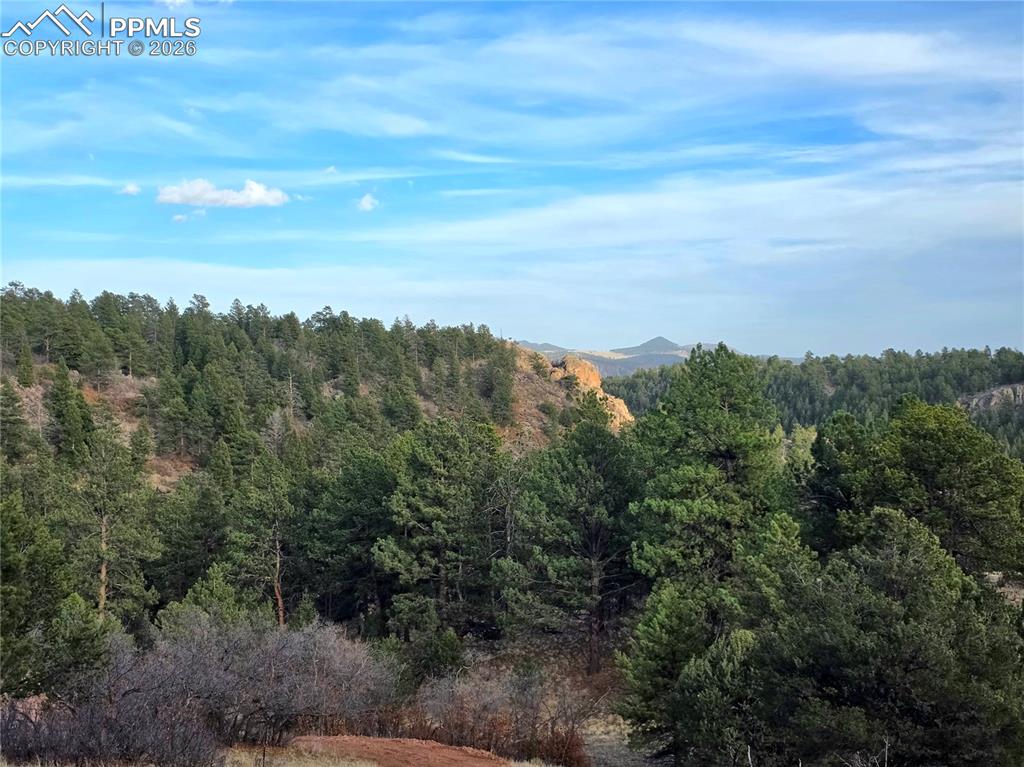 204 Pine Road Florissant, CO 80816 - Photo 21 of 27