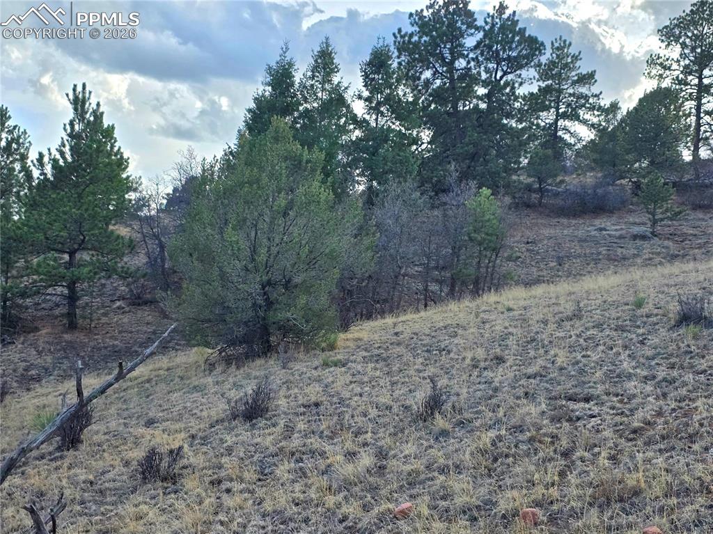 204 Pine Road Florissant, CO 80816 - Photo 22 of 27