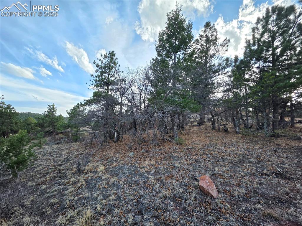 204 Pine Road Florissant, CO 80816 - Photo 23 of 27 North side Driveway