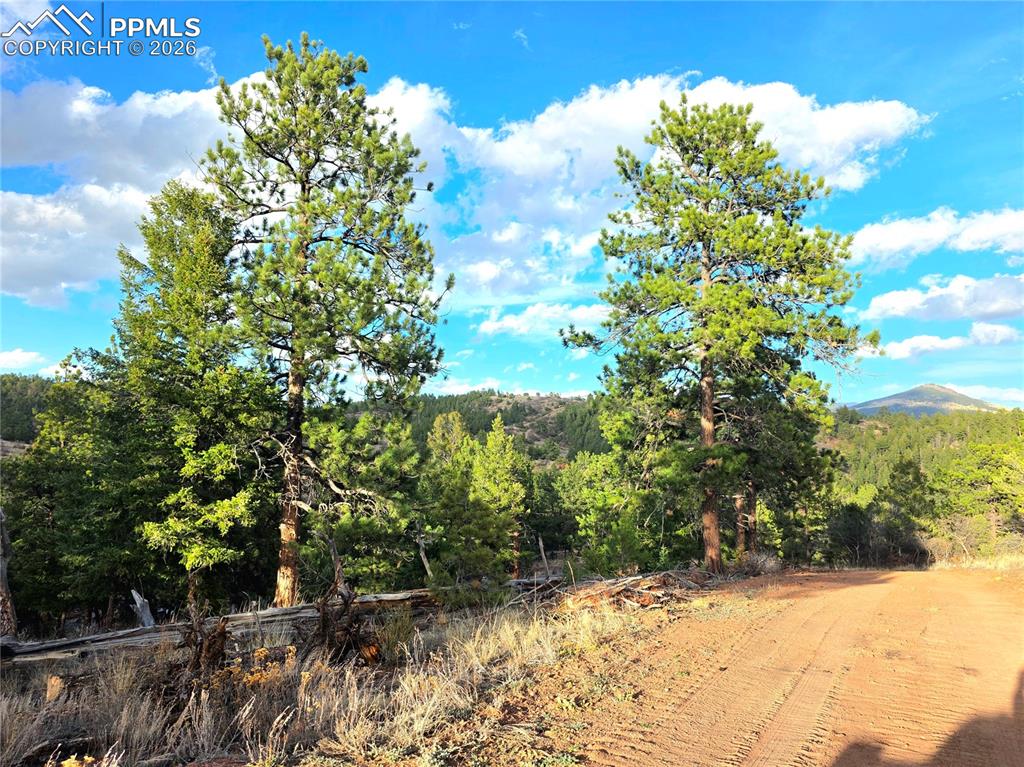 204 Pine Road Florissant, CO 80816 - Photo 24 of 27