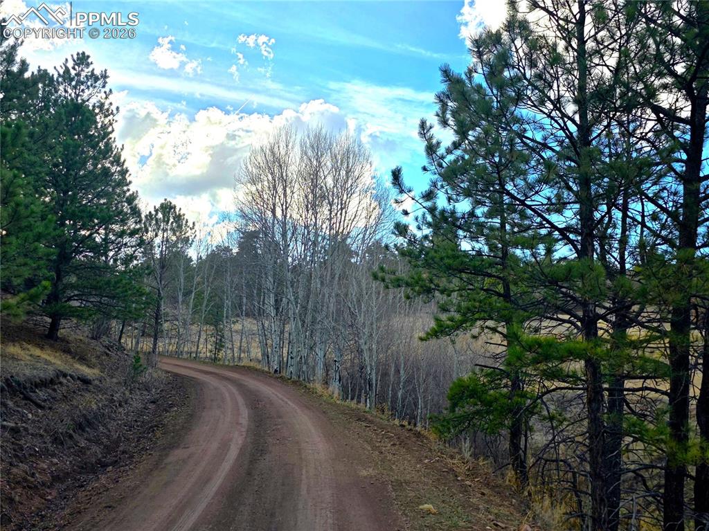 204 Pine Road Florissant, CO 80816 - Photo 25 of 27