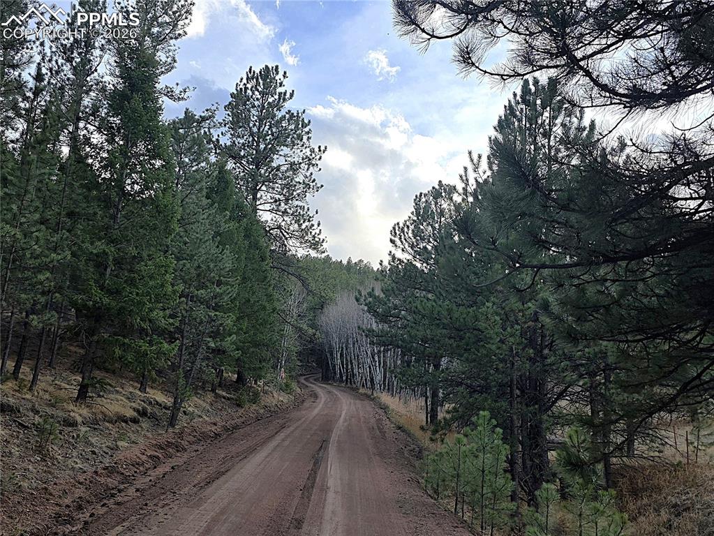 204 Pine Road Florissant, CO 80816 - Photo 26 of 27 road along property