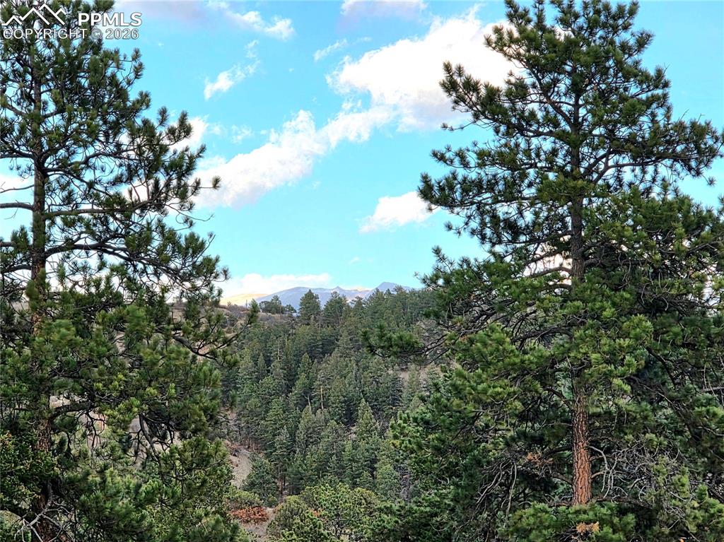204 Pine Road Florissant, CO 80816 - Photo 27 of 27